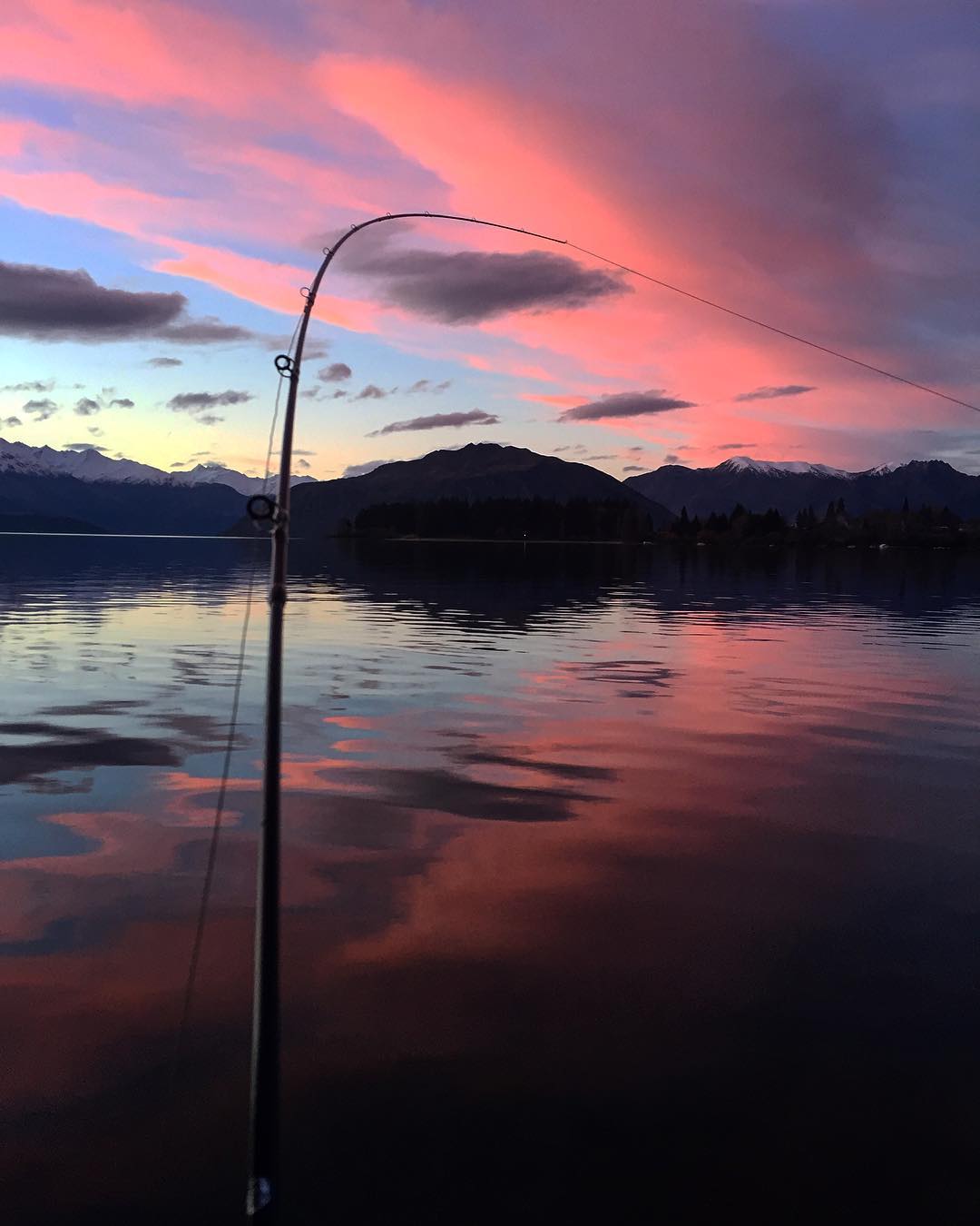 Fishing rod silhouetted against a vivid pink and purple sunset over Lake Wanaka